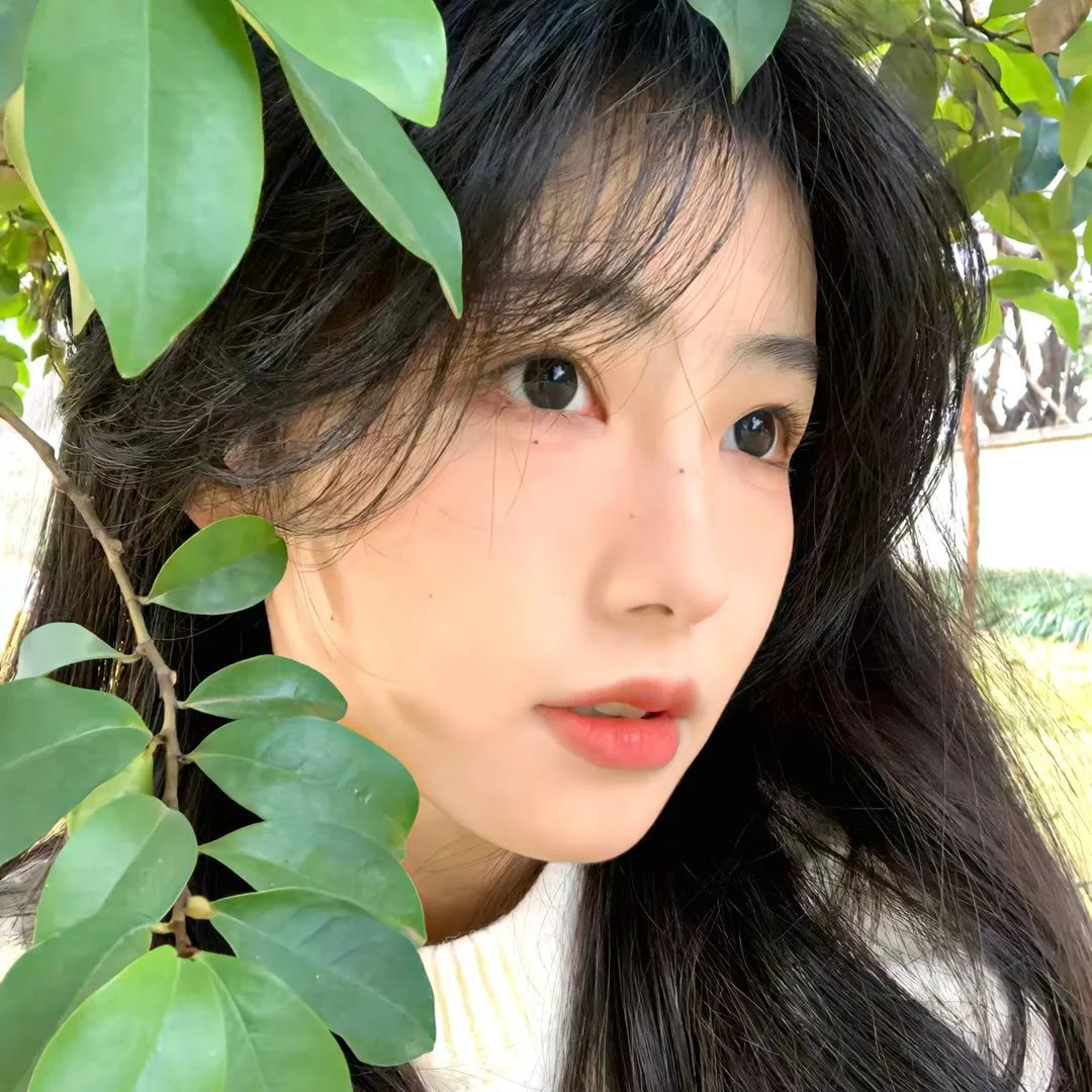 荒野生存