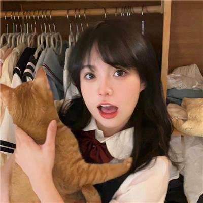 休战协定